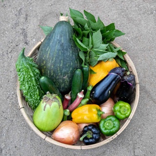 野菜キャプチャ